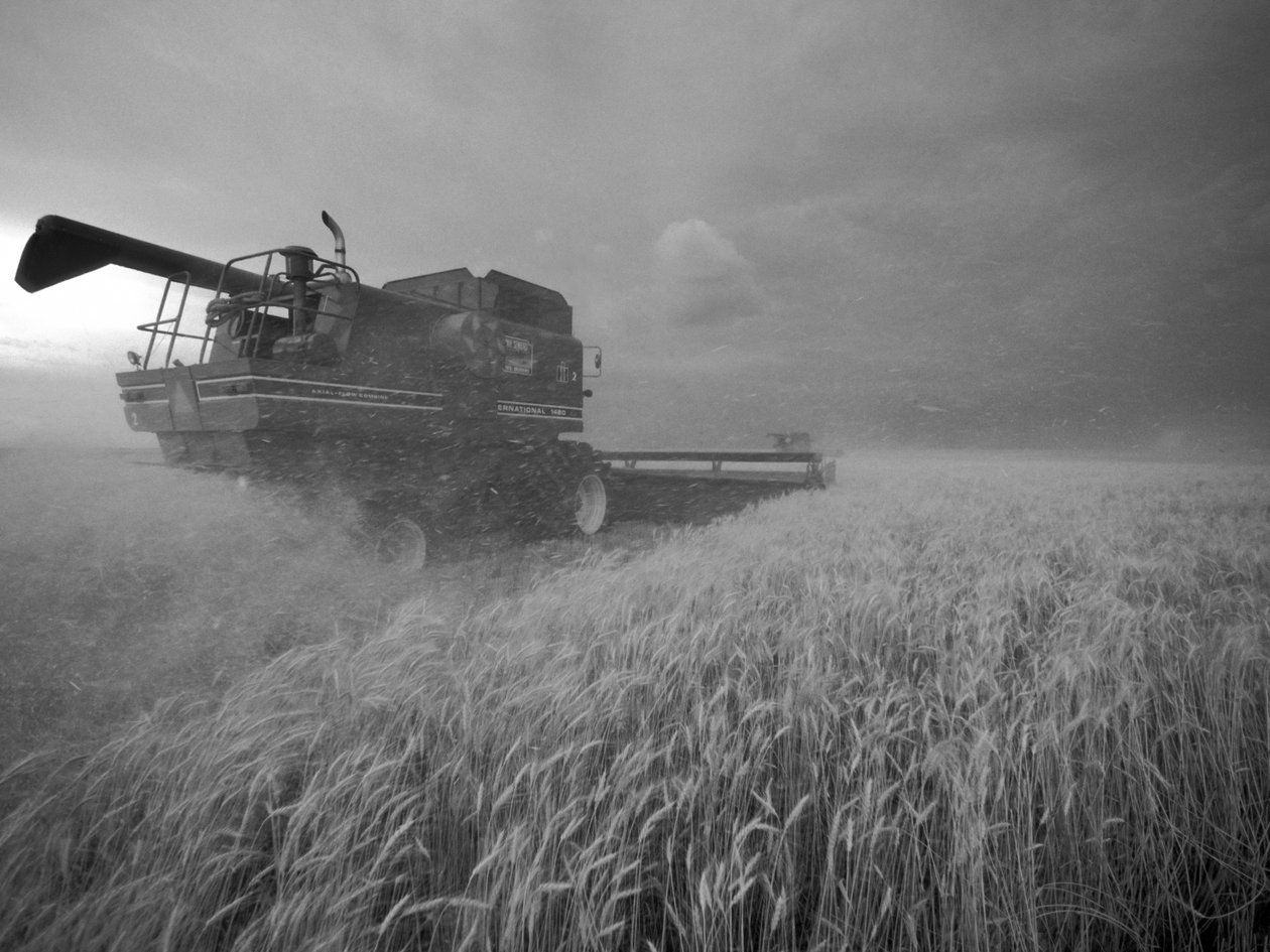 USA, Kansas: Kansas-Weizen wird in der Abenddämmerung im Sommer geerntet, 2022 (Foto) von Sisse Brimberg