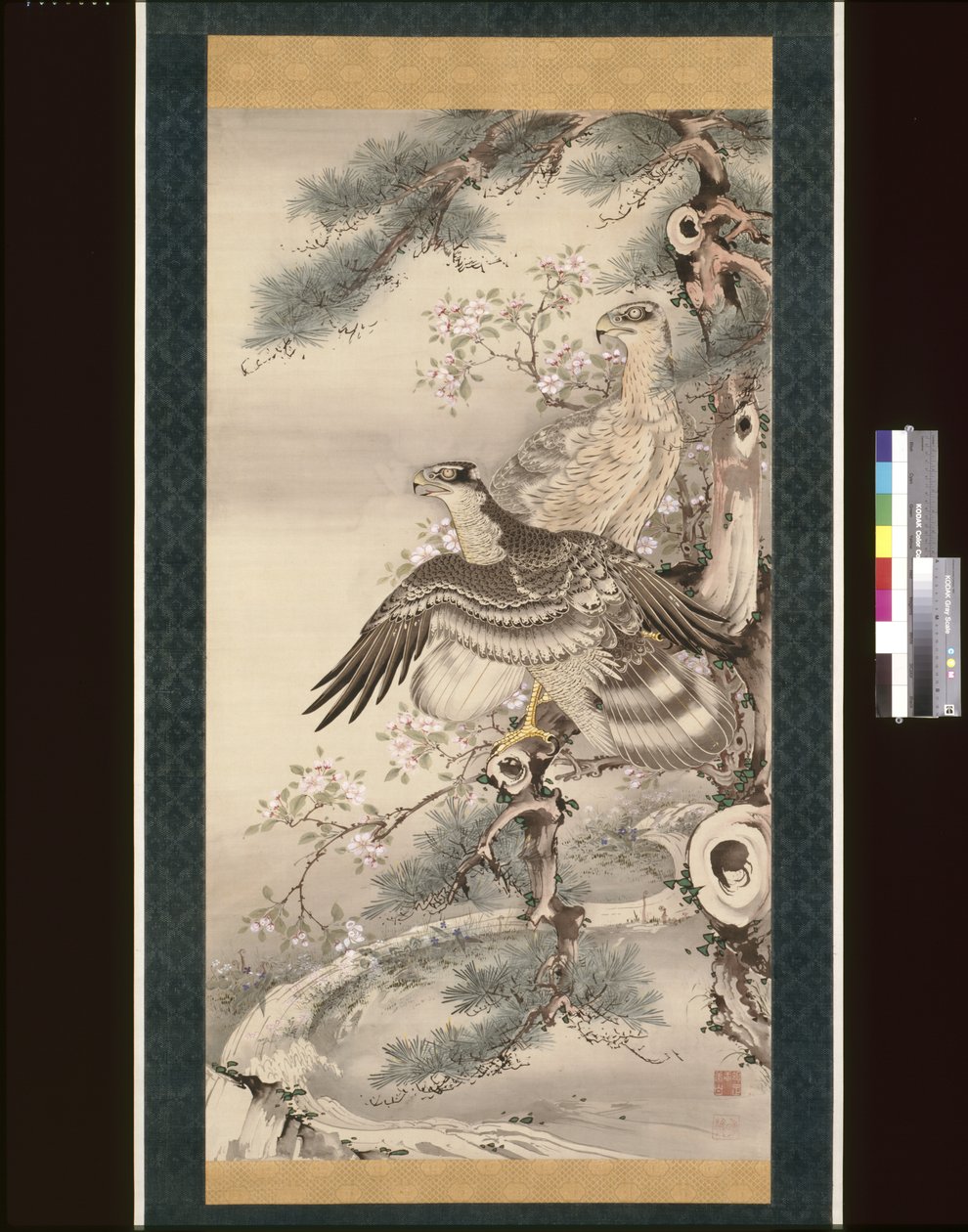Paar Falken mit Zweig und Blüten von Soga Shohaku