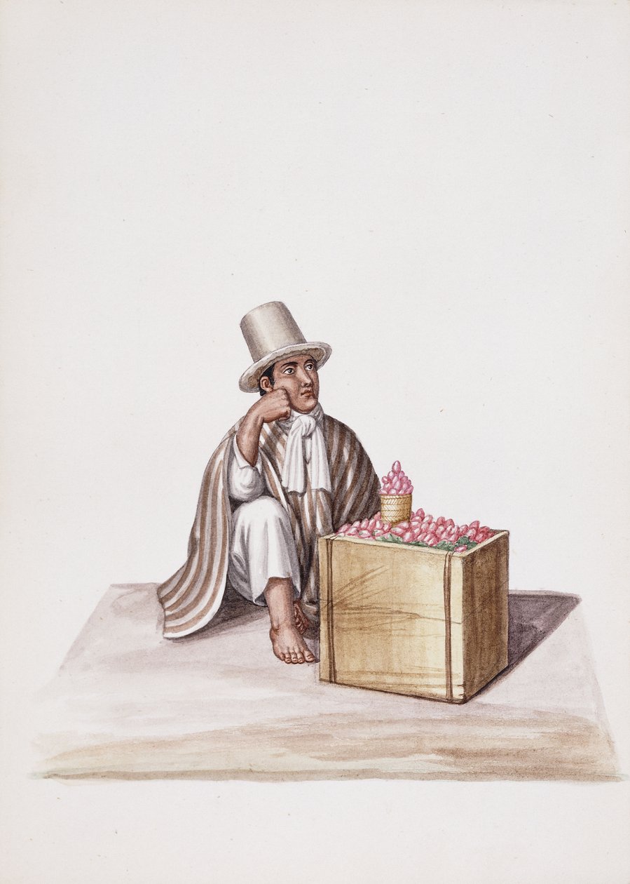 Typen und Kostüme von Neu-Granada von South American School