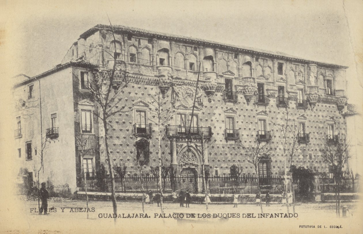 Palacio del Infantado, Guadalajara, Spanien von Spanish Photographer