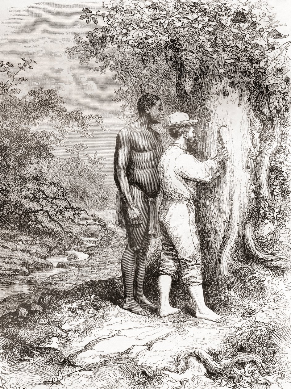 Jules Crevaux, während seiner Erkundung von Französisch-Guayana im Jahr 1878, schnitzt seine Initialen in einen Baum am Ufer des Oyapock- oder Oiapoque-Flusses von Spanish School