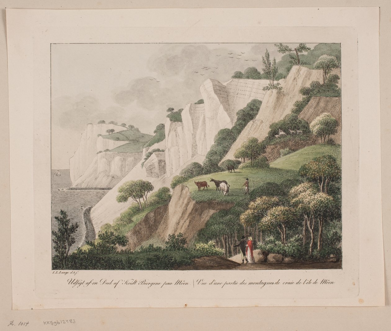 Ansicht eines Teils der Kreidefelsen auf Møn von Søren L. Lange