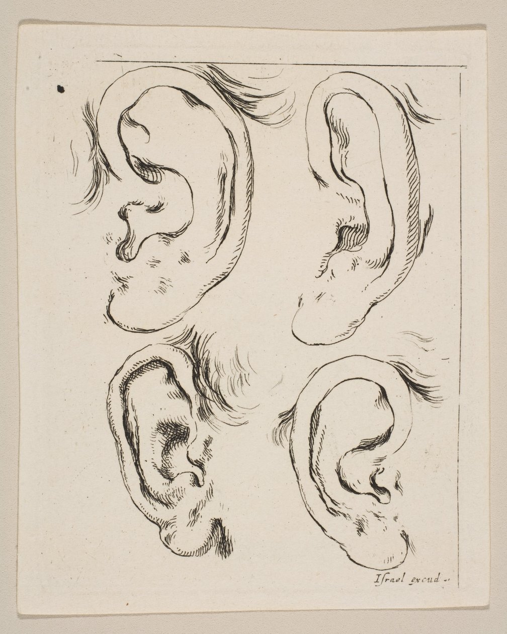 Tafel 5: vier Ohren, aus Das Buch zum Zeichnen Lernen Livre pour apprendre à dessiner, ca. 1649 von Stefano della Bella