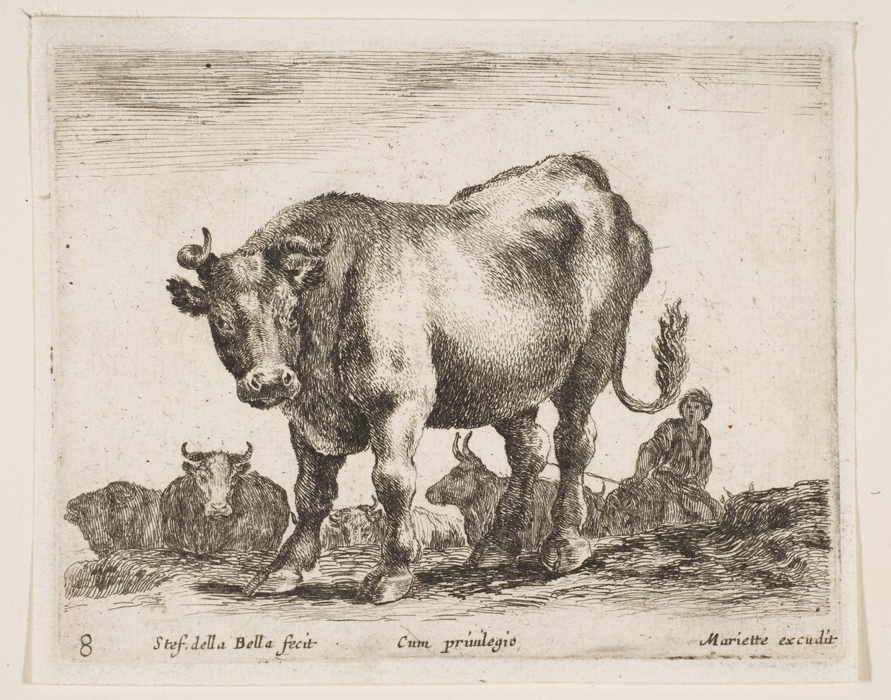 Tafel 8: Kuh, aus Verschiedene Tiere Diversi animali, ca. 1641 von Stefano della Bella