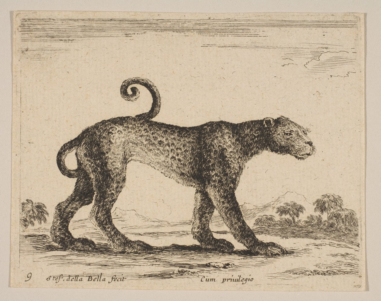 Platte 9: Leopard, aus Verschiedene Tiere Diversi animali, ca. 1641 von Stefano della Bella