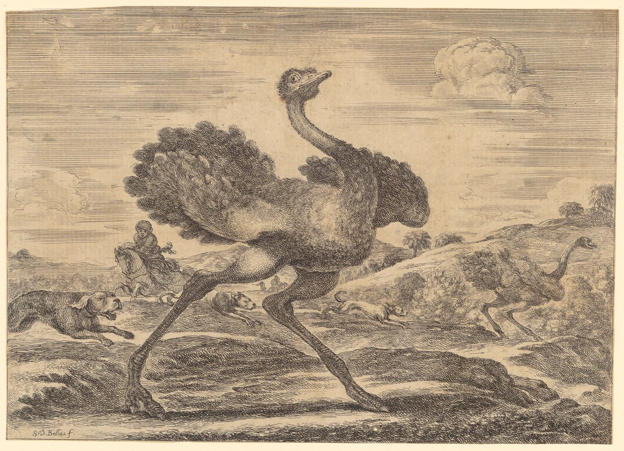 Straußenjagd von Stefano della Bella