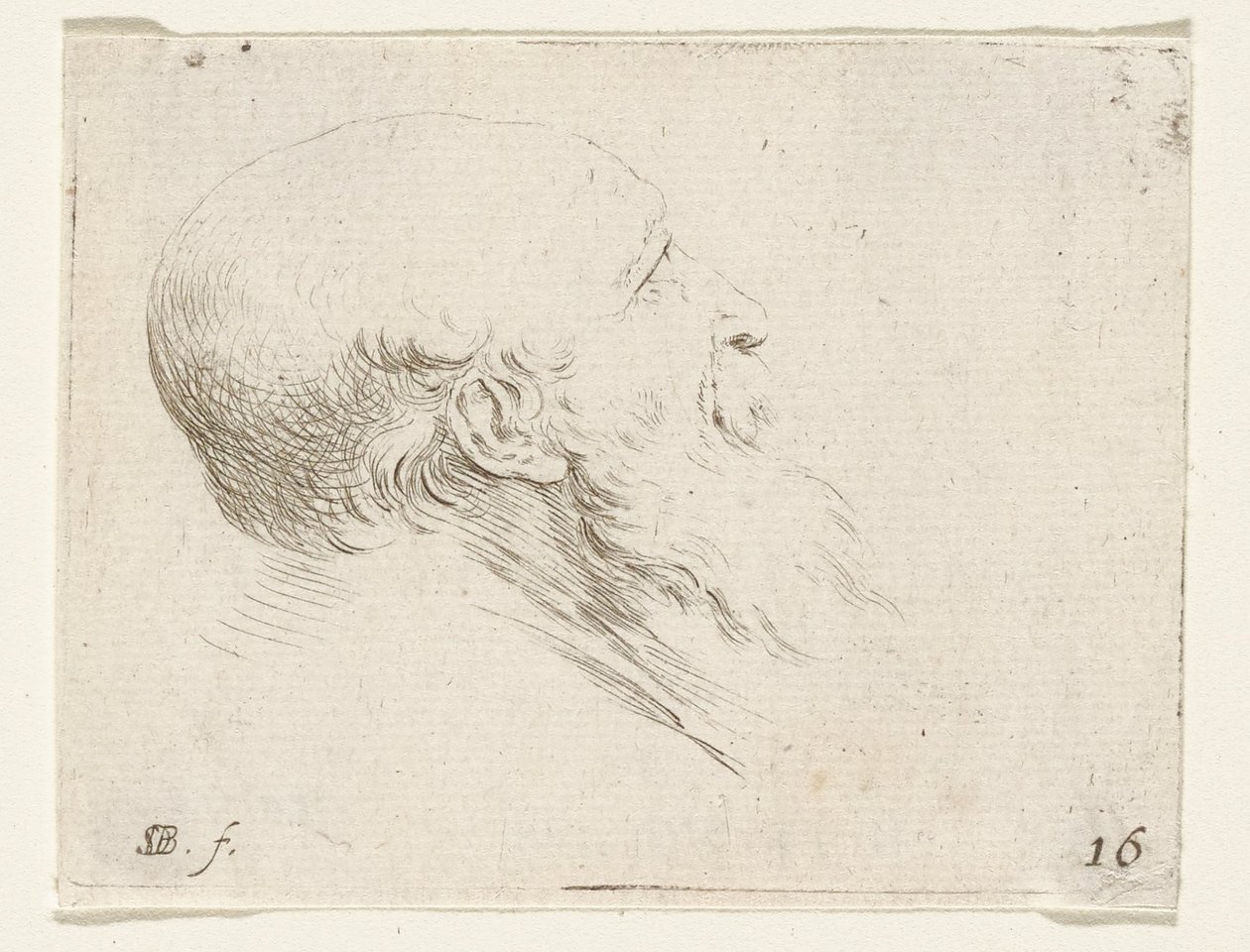 Kopf eines kahlen alten Mannes von Stefano della Bella