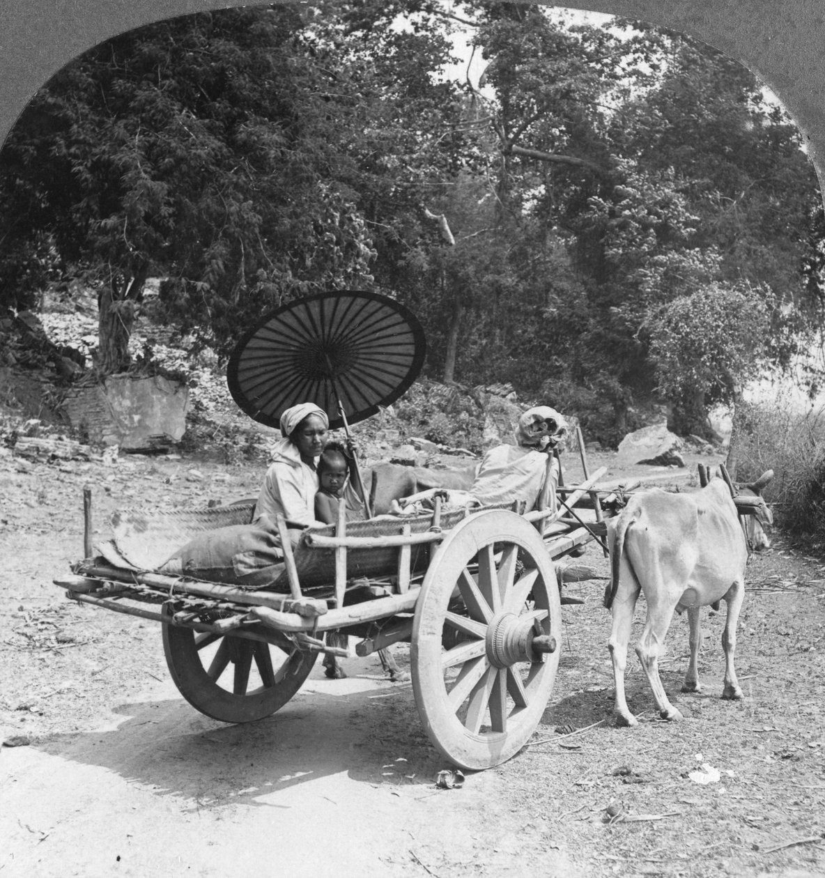Familienreise durch den Dschungel bei Mingun, Burma, 1908 von Stereo Travel Co
