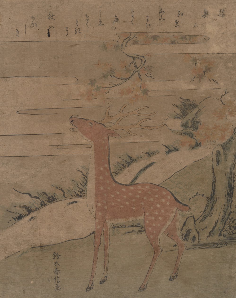 Der Schrei des Hirsches, ca. 1760 von Suzuki Harunobu