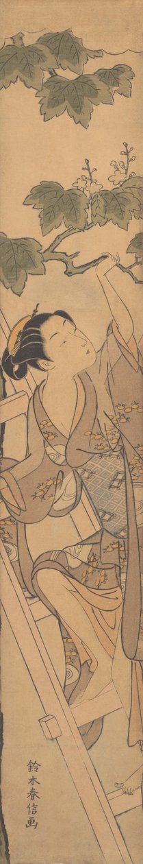 Junge Frau, die eine Leiter hinaufsteigt, ca. 1768 von Suzuki Harunobu