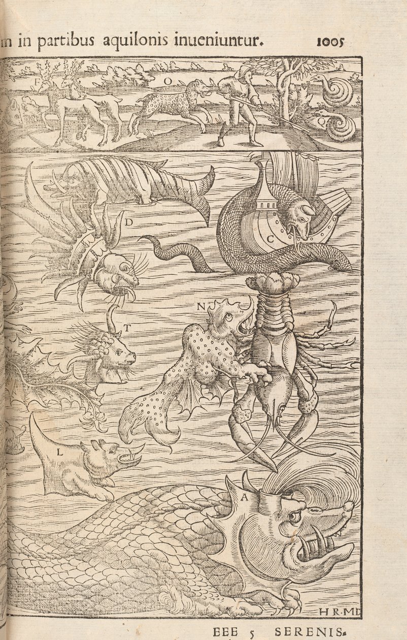 Seite 1005 aus Cosmographiae Universalis von Sebastian Muenster, Basel, 1572 von Swiss School