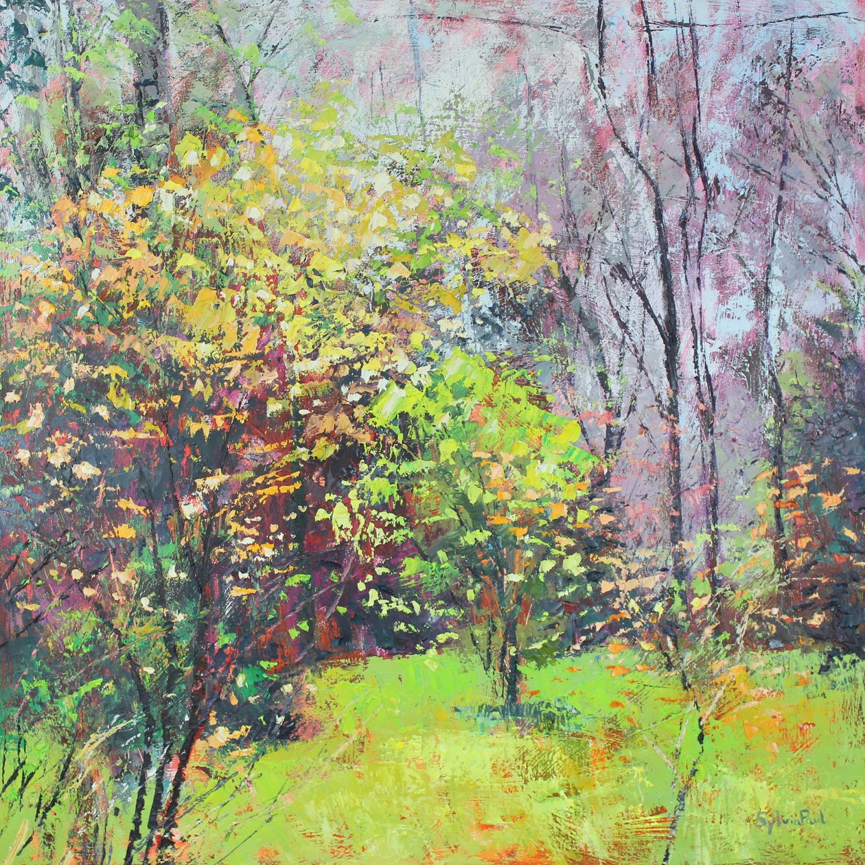Frühlingsglanz von Sylvia Paul