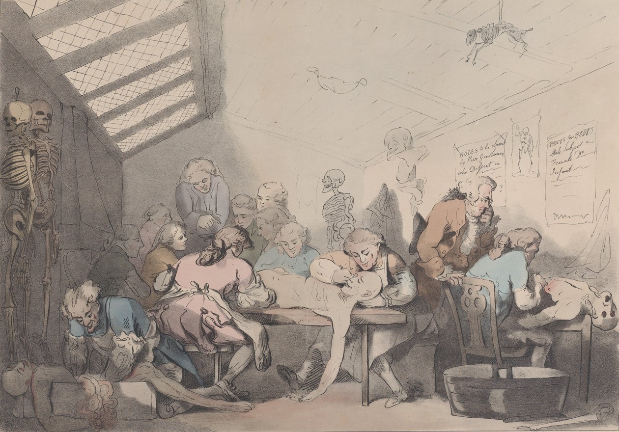 Der Seziersaal, ca. 1838 von T. C. Wilson: Kunstdruck kaufen