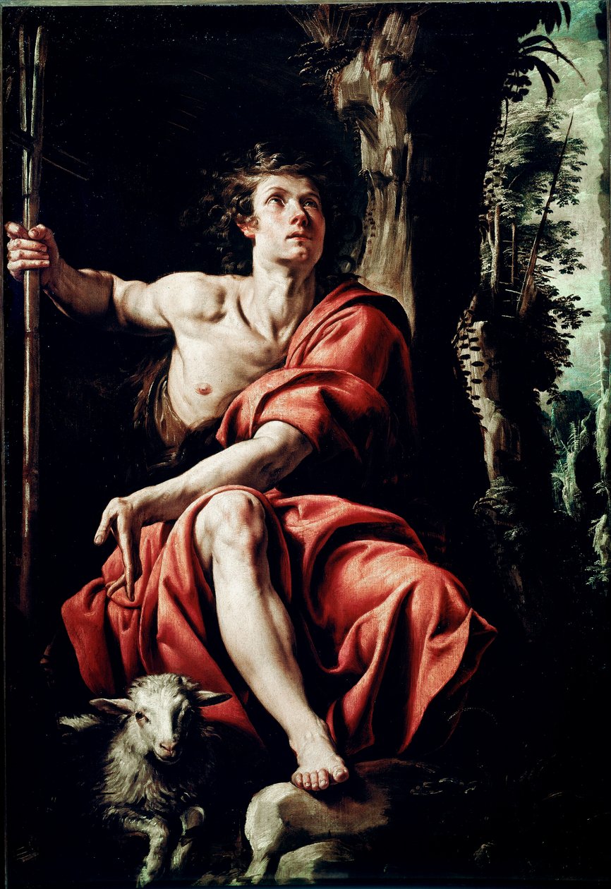 Heiliger Johannes in der Wüste von Tanzio da Varallo