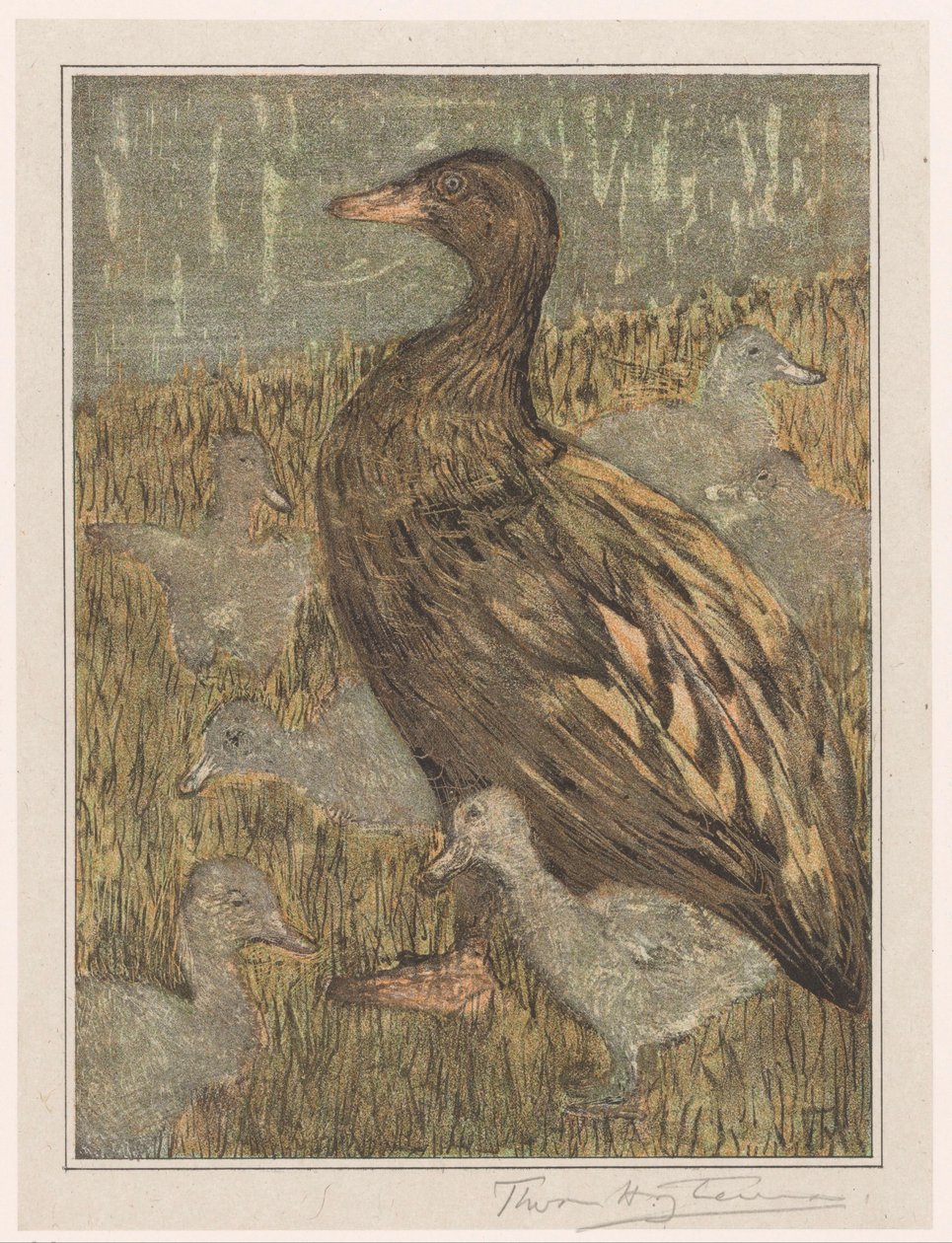 Ente mit Küken am Wasser von Theo van Hoytema (signed by artist)