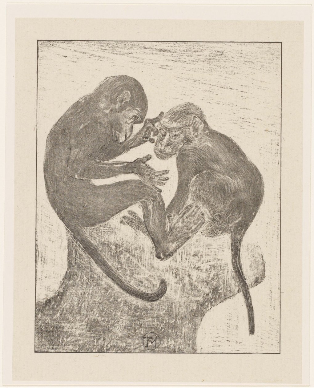 Zwei flöhen Affen von Theo van Hoytema (signed by artist)