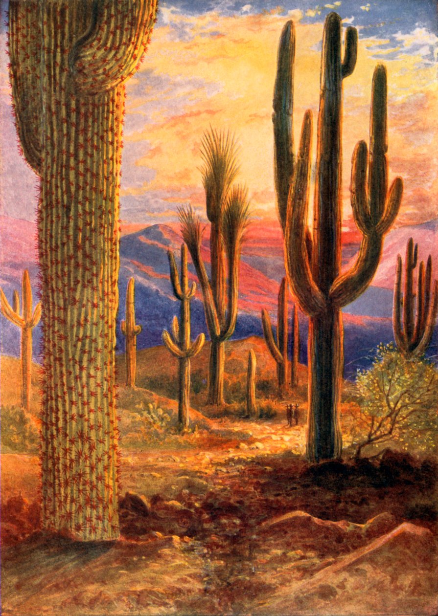 Der Sieger der Wüste von Theobald Carreras