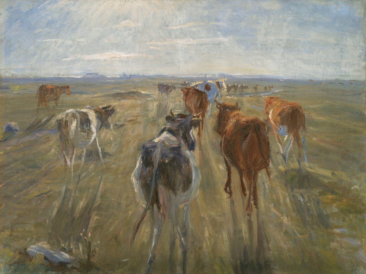 Lange Schatten. Rinder auf der Insel Saltholm, um 1890 von Theodor Esbern Philipsen