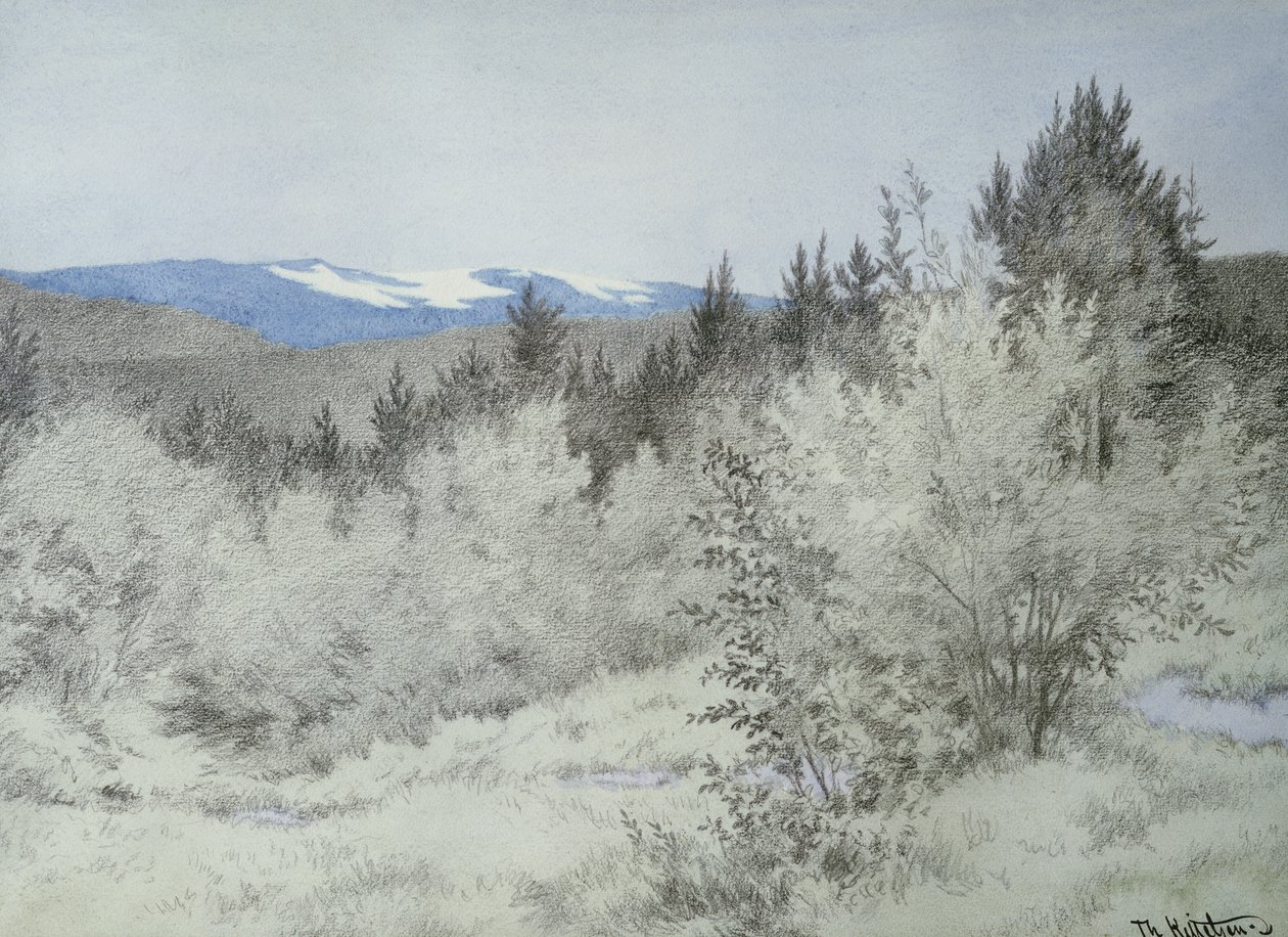 Weit, weit weg im Wald von Theodor Kittelsen