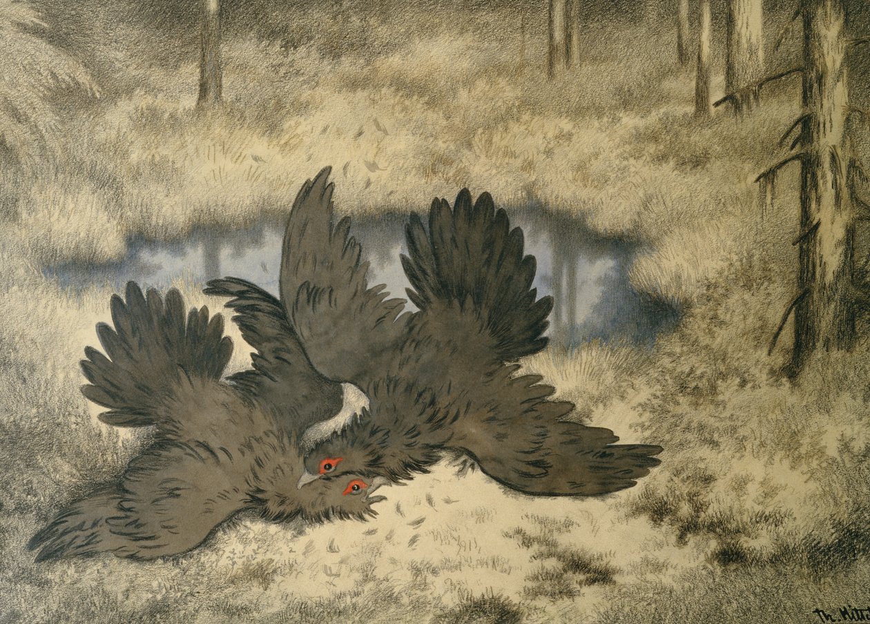 Der Trollvogelkampf dort drüben von Theodor Kittelsen