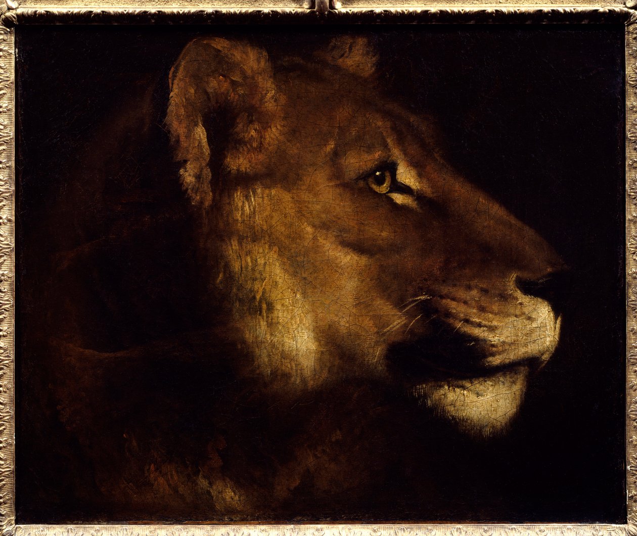 Löwenkopf (Gemälde von Theodore Gericault, 19. Jahrhundert) von Theodore Gericault