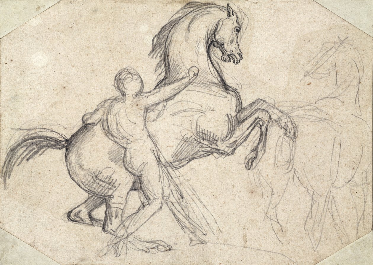 Steigender Hengst, gehalten von einem nackten Mann von Theodore Gericault