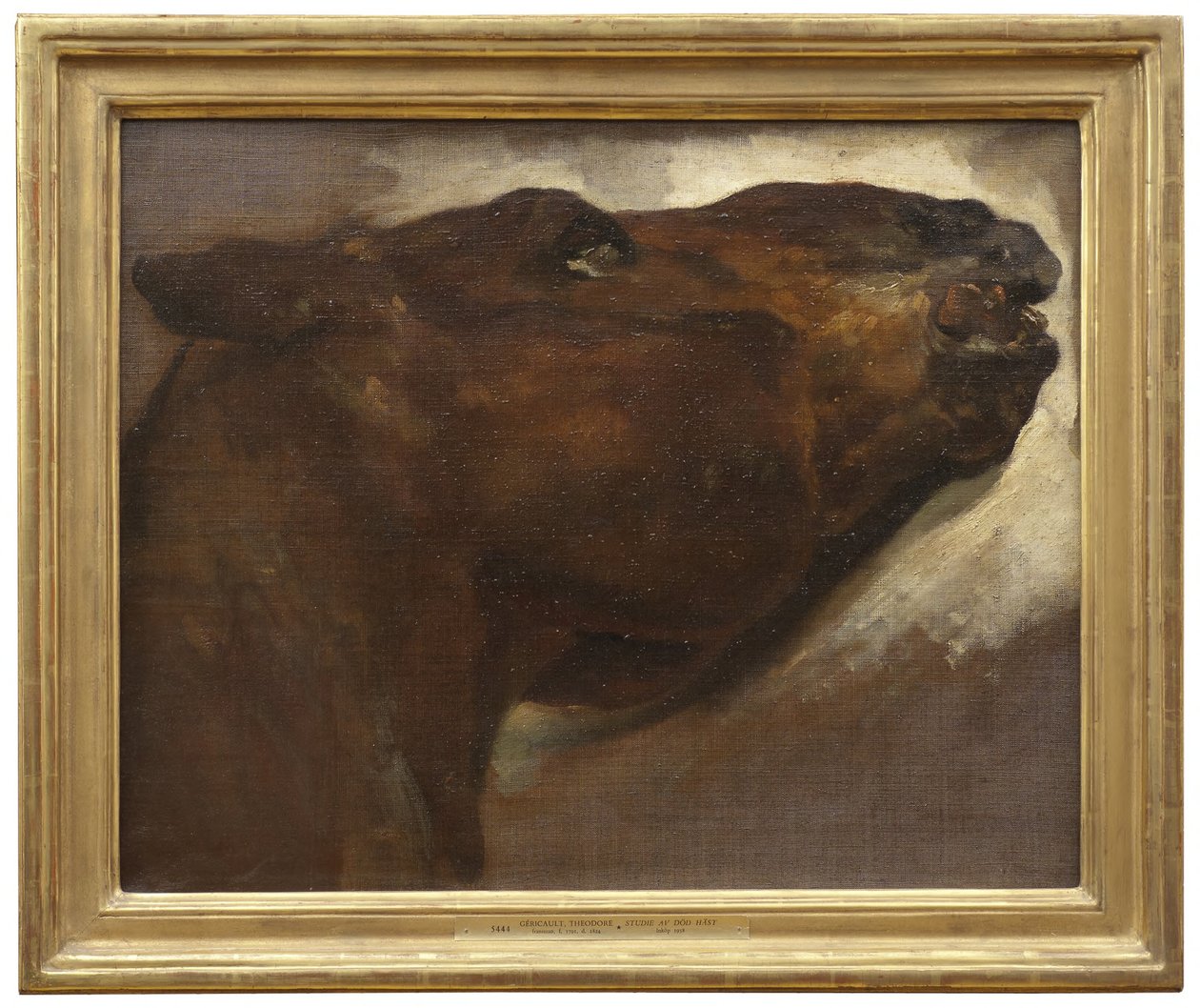 Studie eines toten Pferdes von Theodore Gericault