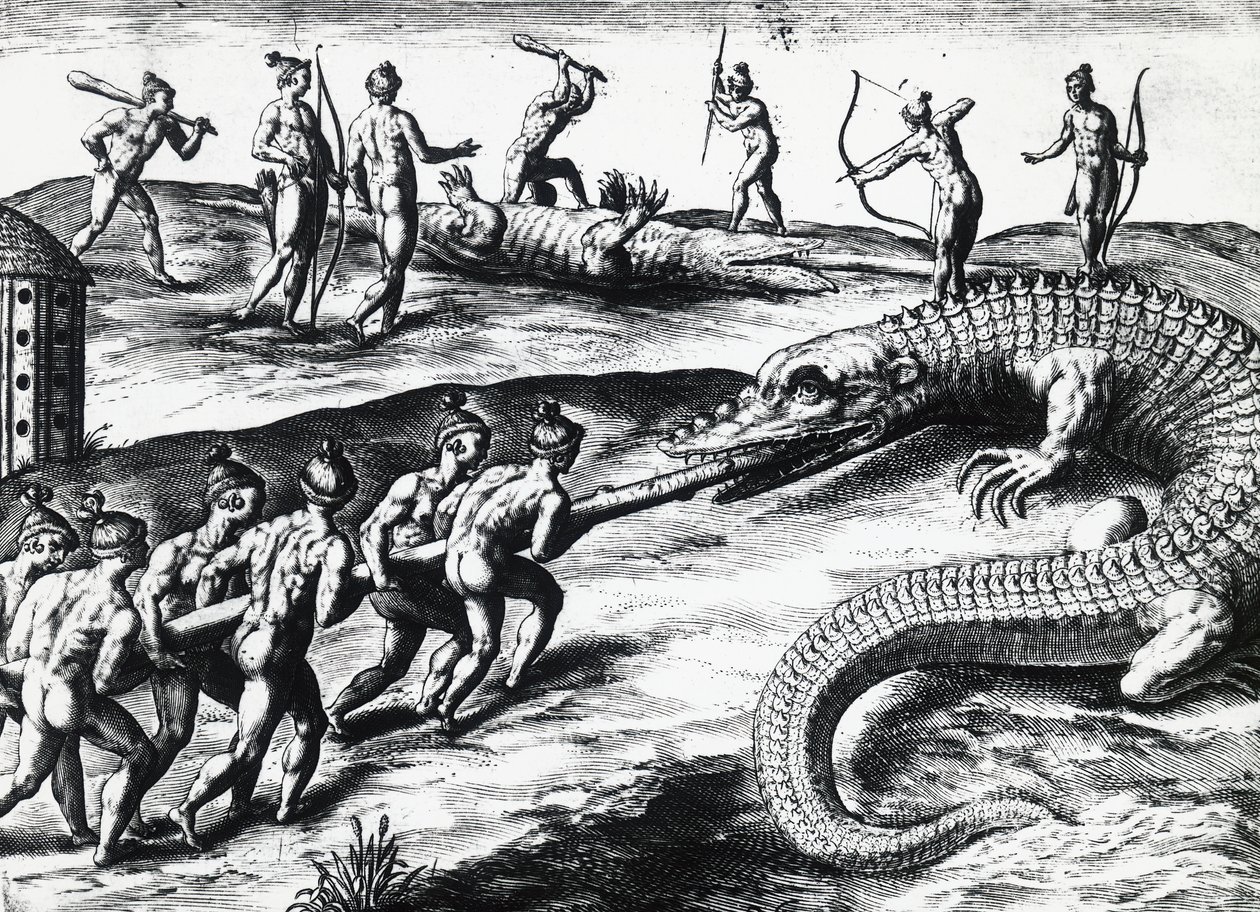 Krokodiljagd in Florida, nach einem Gemälde von Jacques le Moyne de Morgues, graviert von Theodor de Bry von Theodore de Bry