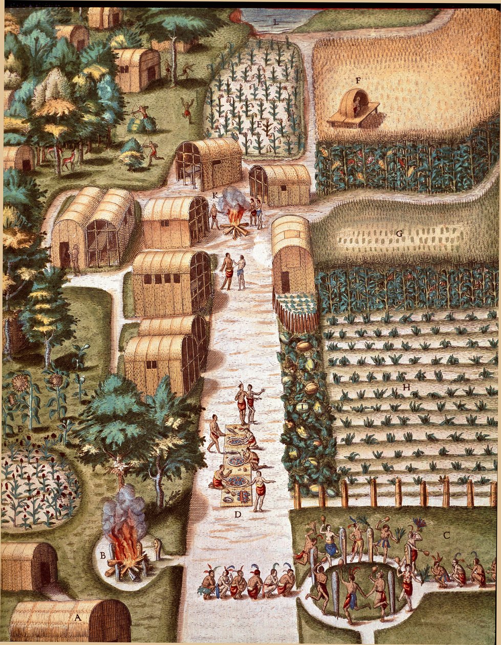 Der Garten der Stadt Secota in Virginia. Gravur aus „Admirante Narratio Americae“ von Theodore de Bry (1528-1598) von Theodore de Bry