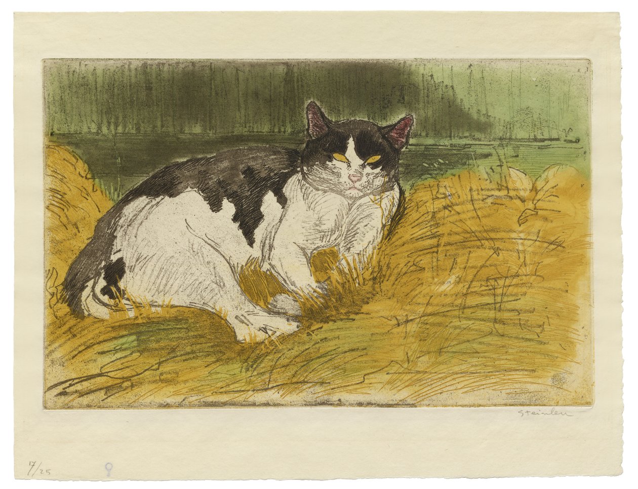 Alter Schwarz-Weiß-Kater im Gras von Théophile Alexandre Steinlen
