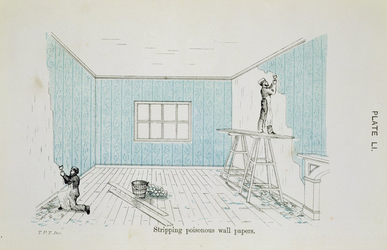 Entfernung giftiger Tapeten, Illustration aus Dangers to Health: A Pictorial Guide to Domestic Sanitary Effects, veröffentlicht 1897 von Thomas Pridgin Teale