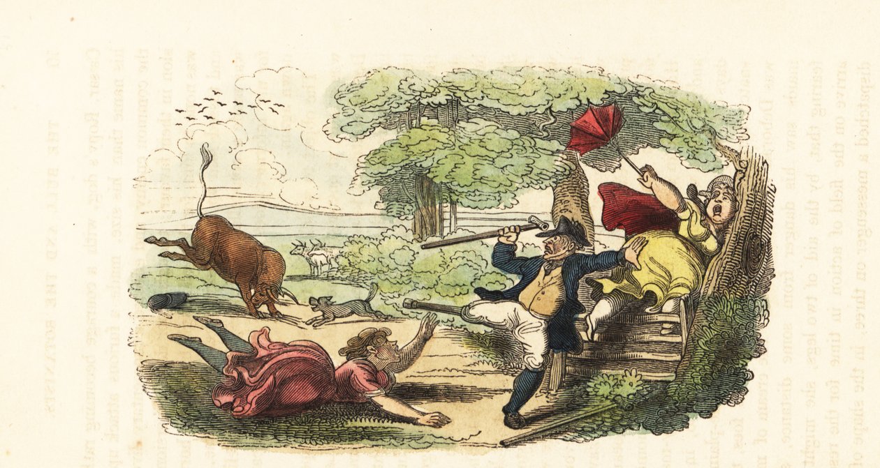 Eine Familie von Botanikern wird von einem angreifenden Stier auf einem Feld angegriffen (1831) (Gravur) von Thomas (after) Rowlandson