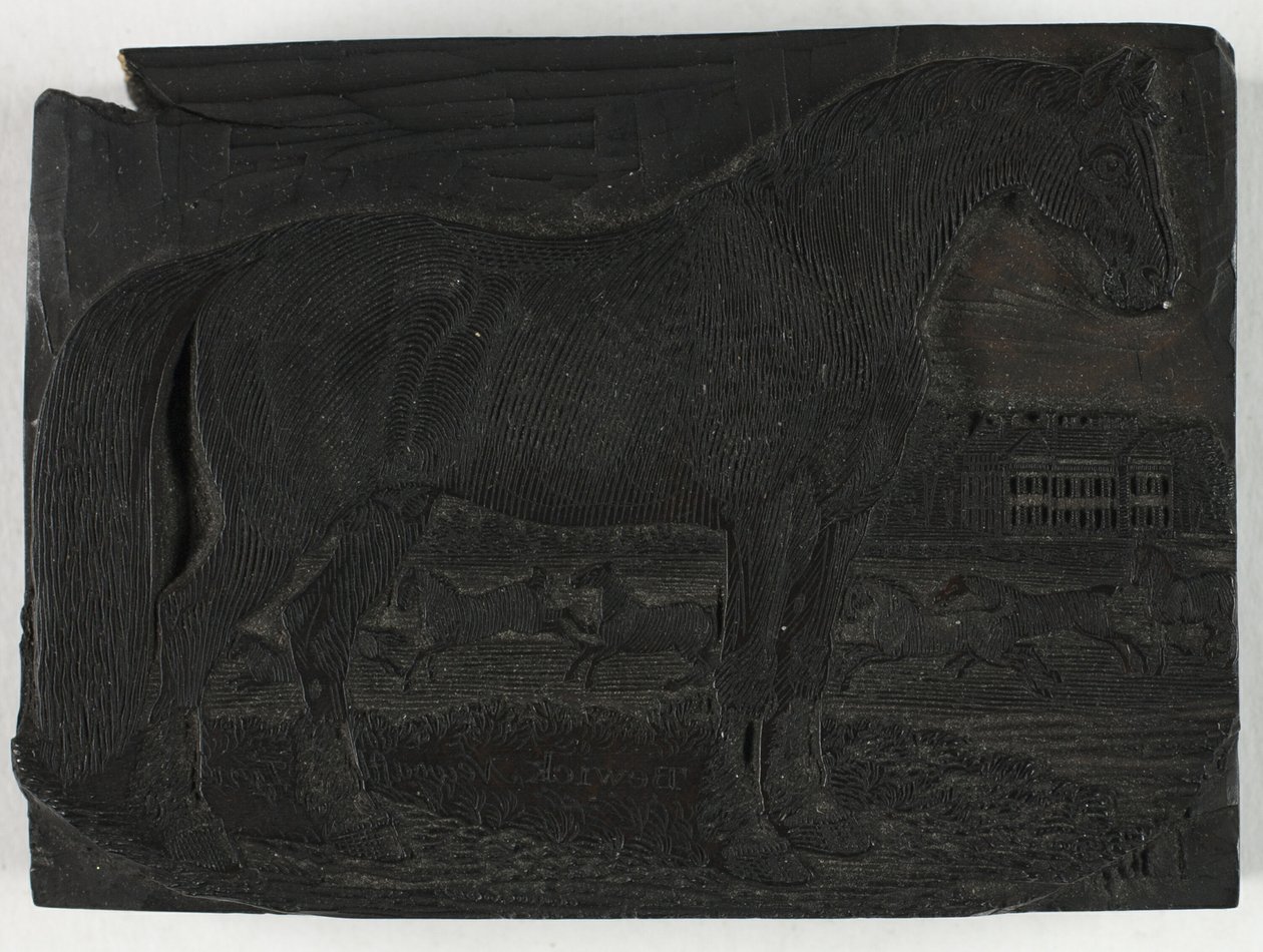 Holzschnitt für Das schwarze Pferd, aus einer Allgemeinen Geschichte der Vierfüßer von Thomas Bewick