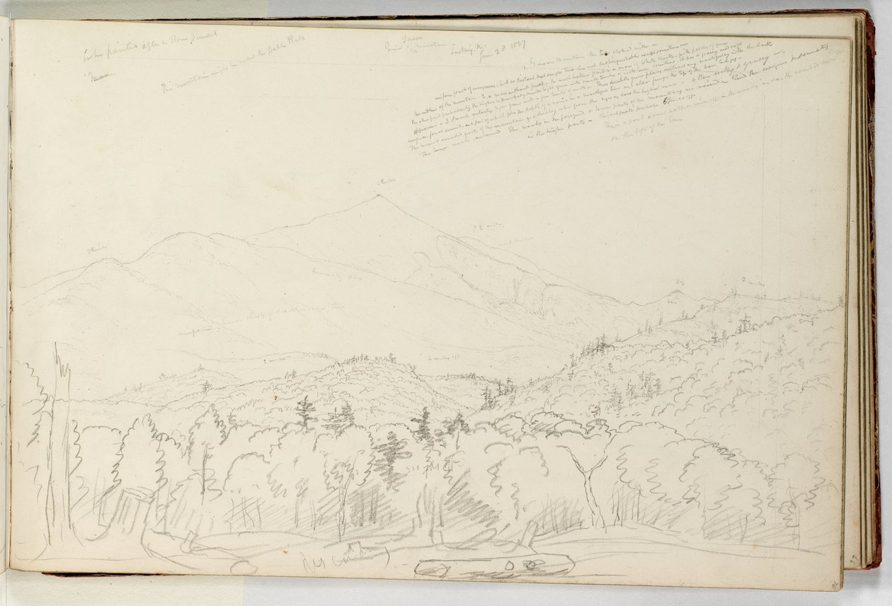 Ansicht des Schroon Mountain nach Norden, 28. Juni von Thomas Cole