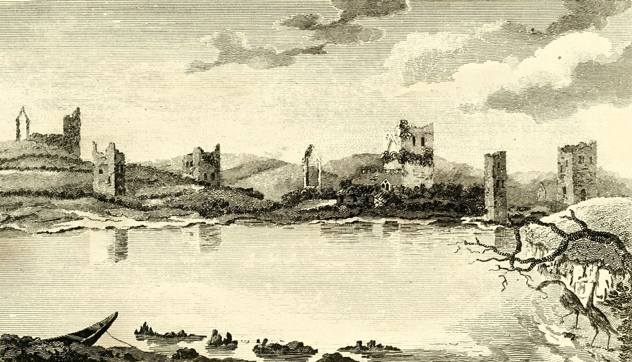Nördliche Ansicht der Ruinen von Clomines, Co. Wexford von Thomas Cook