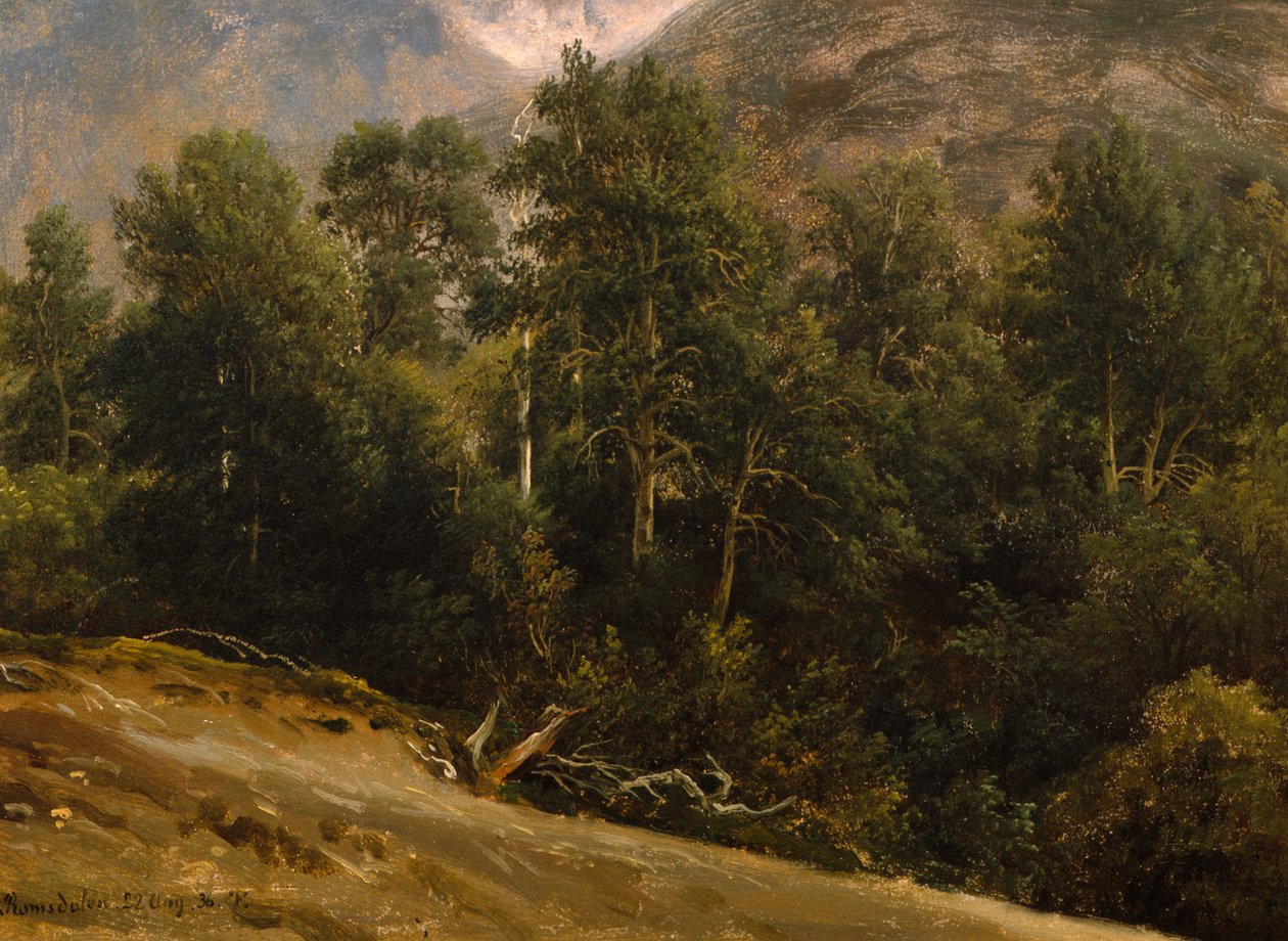 Wald in Romsdal von Thomas Fearnley