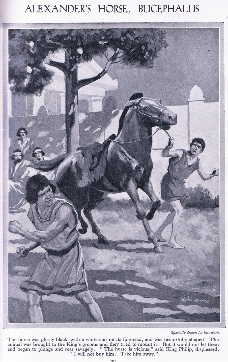 Alexanders Pferd, Bucephalus: das Pferd war glänzend schwarz mit einem weißen Stern auf der Stirn von Thomas Heath Robinson