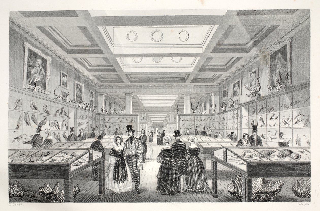 British Museum, Zoologische Galerie, aus 