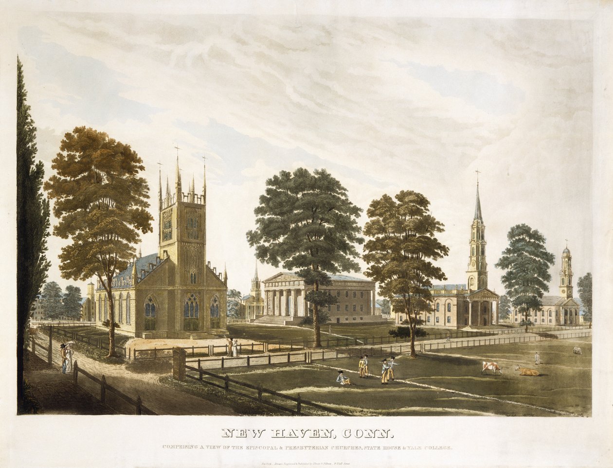 New Haven, Conn. Mit einer Ansicht der Episcopal & Presbyterian Churches, State House & Yale College von Thomas Illman