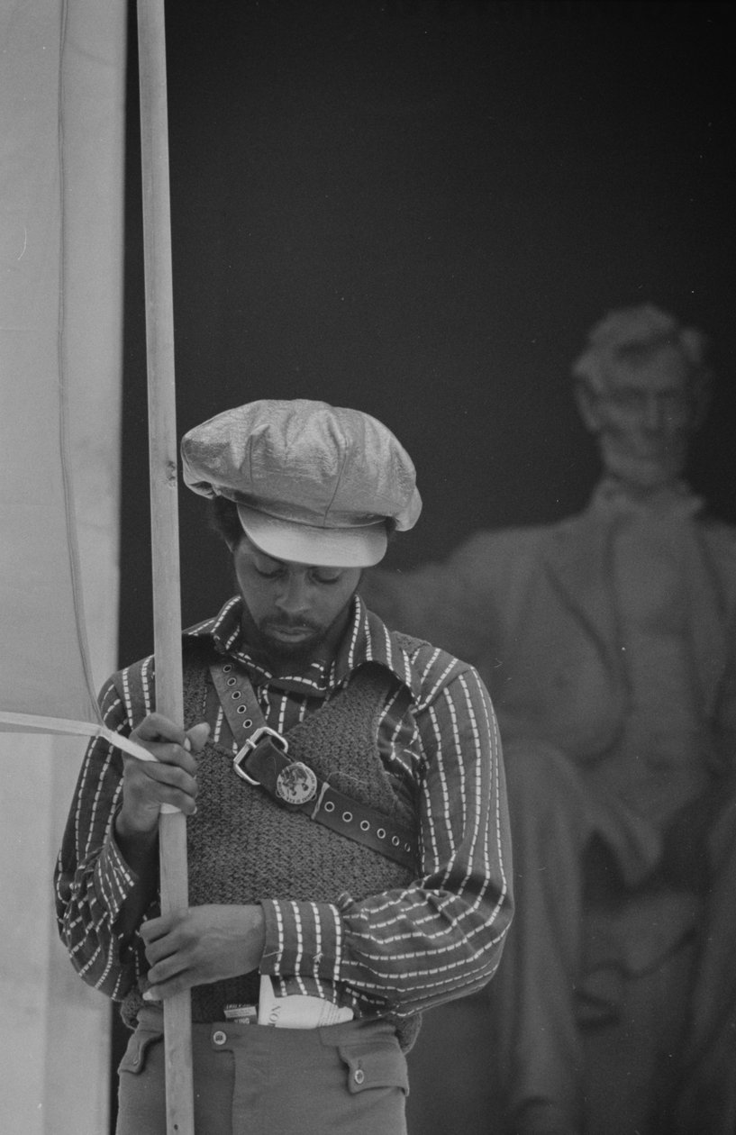 Black Panther Convention, Lincoln Memorial von Thomas J. O