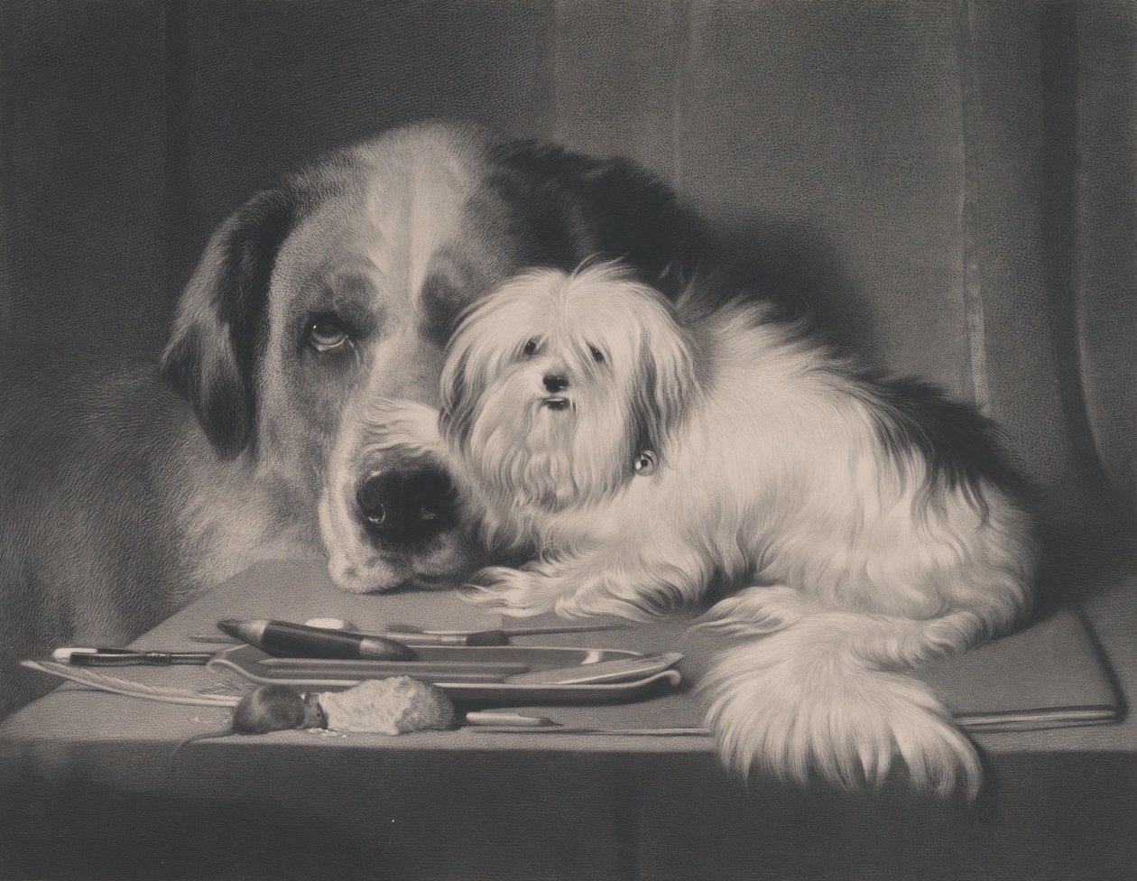 Der Löwenhund von Malta - Der Letzte seiner Art, 1844 von Thomas Landseer