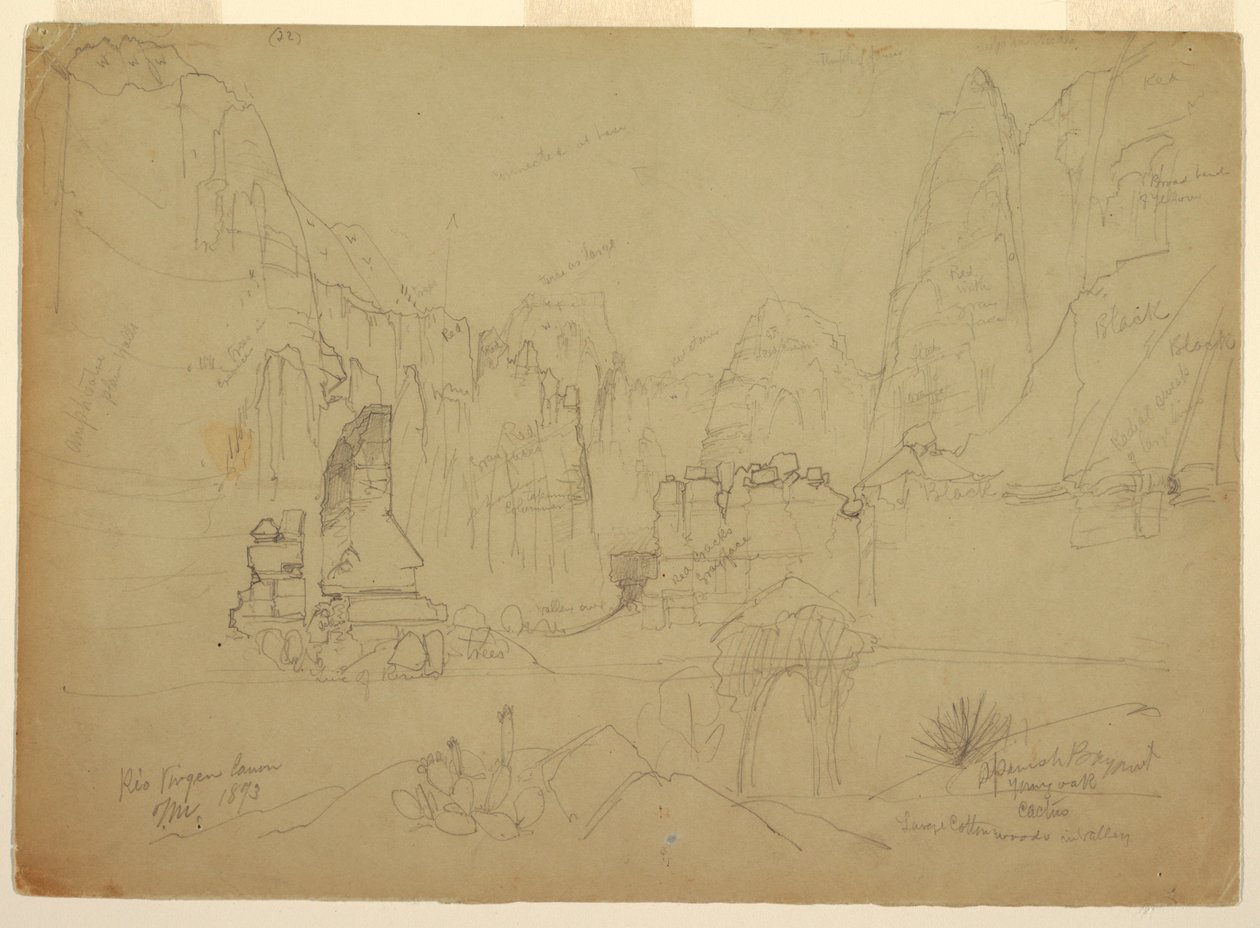 Zeichnung, Der Canyon des Rio Virgin, Süd-Utah, 1873 von Thomas Moran