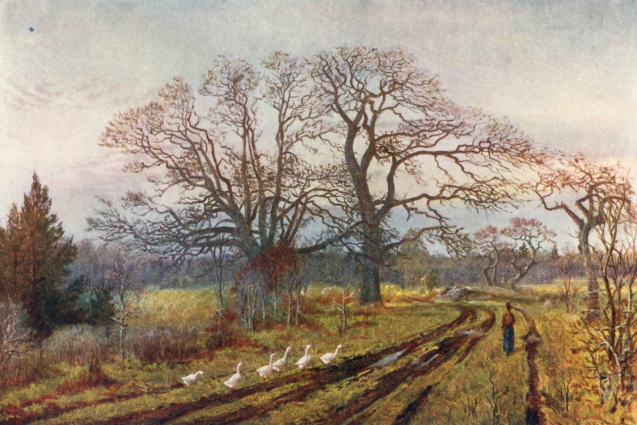 Früher Frühling, nahe Victoria, British Columbia von Thomas Mower Martin