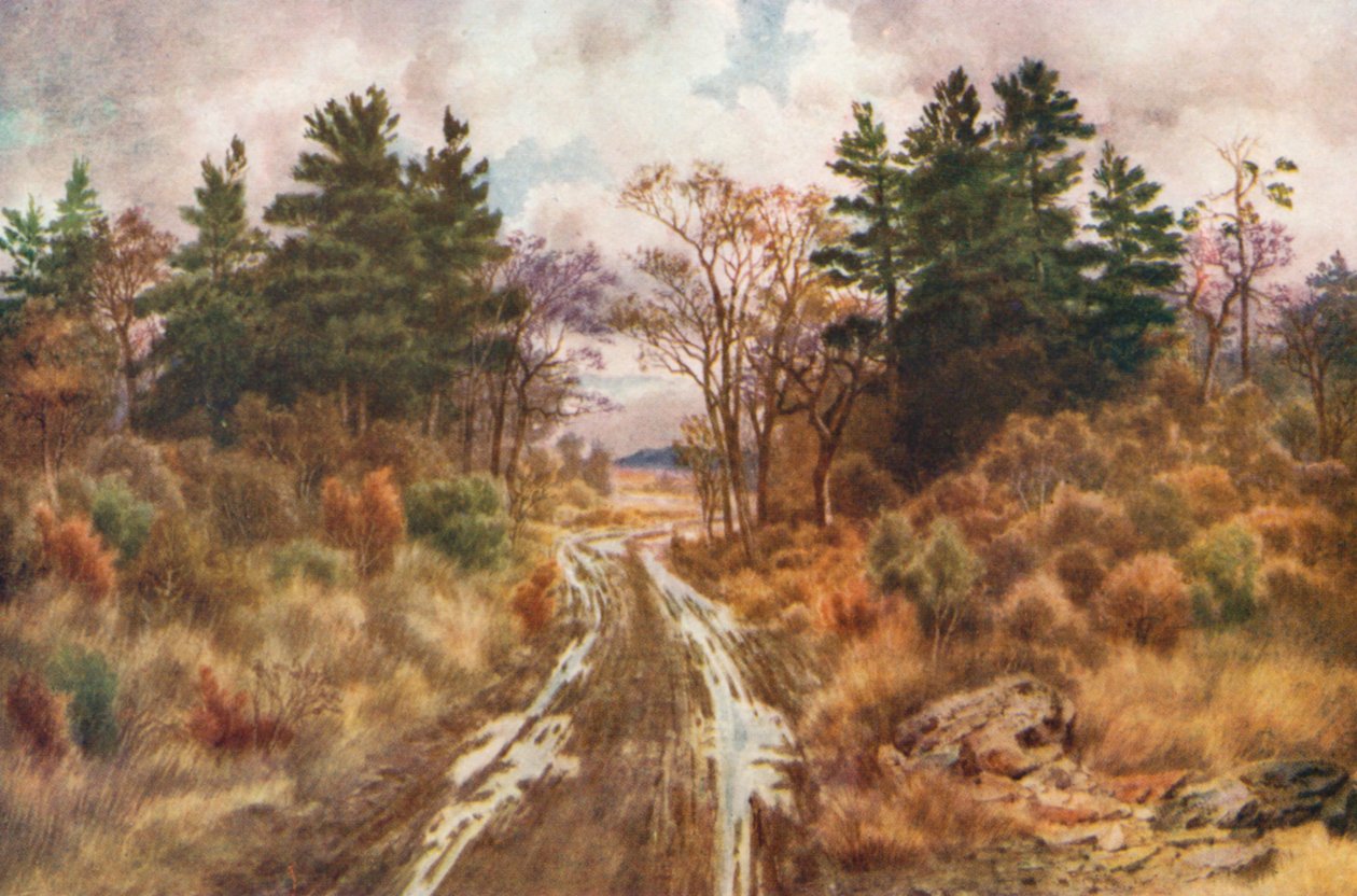 Straße in der Nähe der Bay of Fundy, Herbst von Thomas Mower Martin
