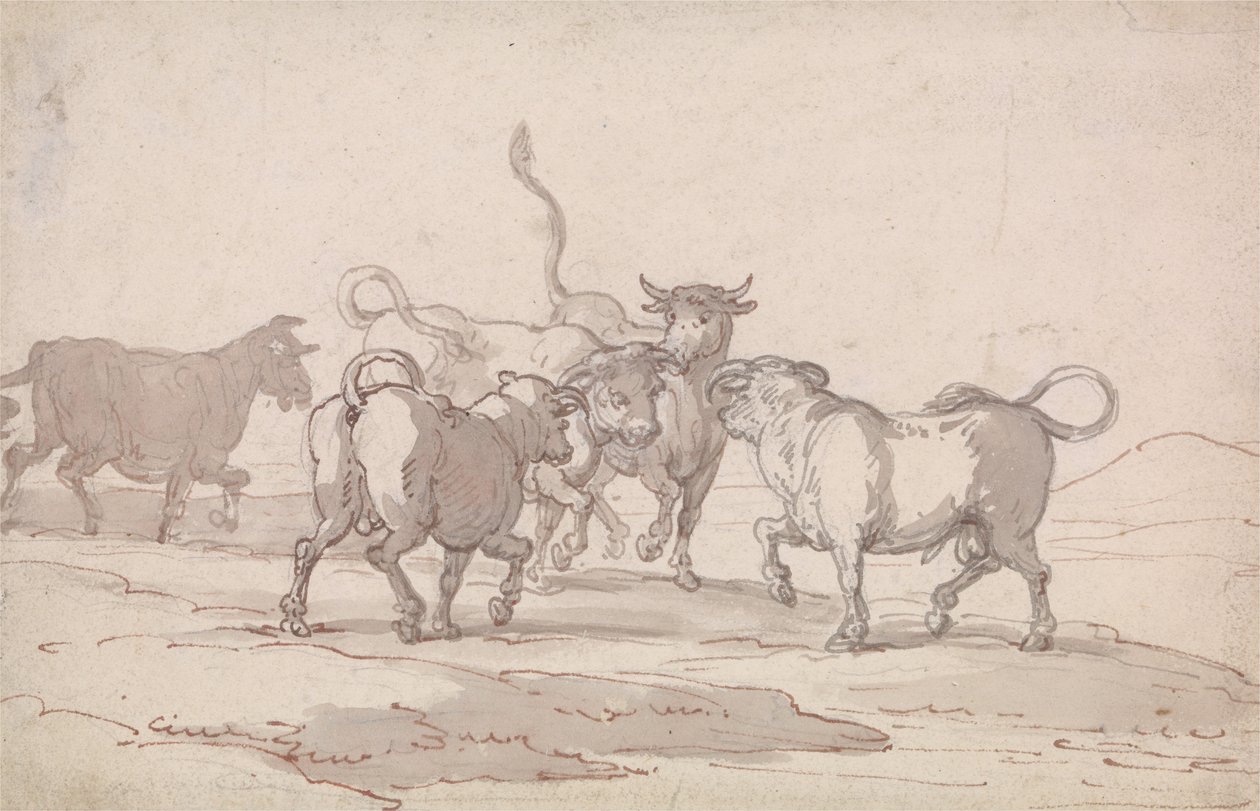 Eine Gruppe von fünf Bullen, die kämpfen wollen von Thomas Rowlandson