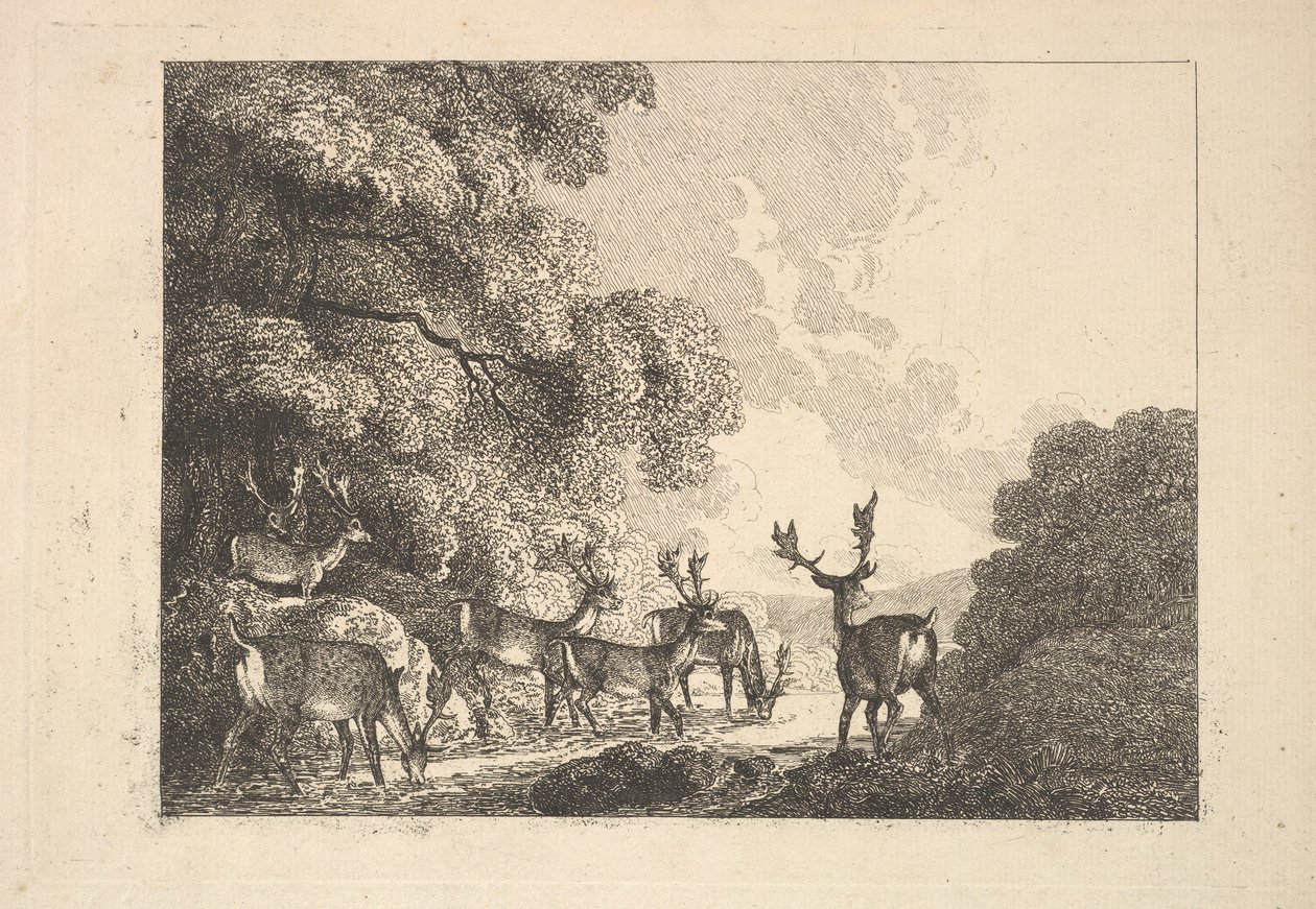 Eine Gruppe von Hirschen beim Trinken, 1784-88 von Thomas Rowlandson