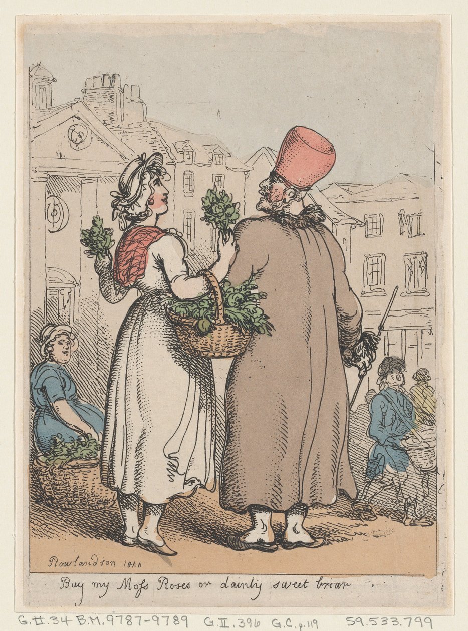 Kaufen Sie meine Moosrosen oder zarte Süßbriar, 1811 von Thomas Rowlandson