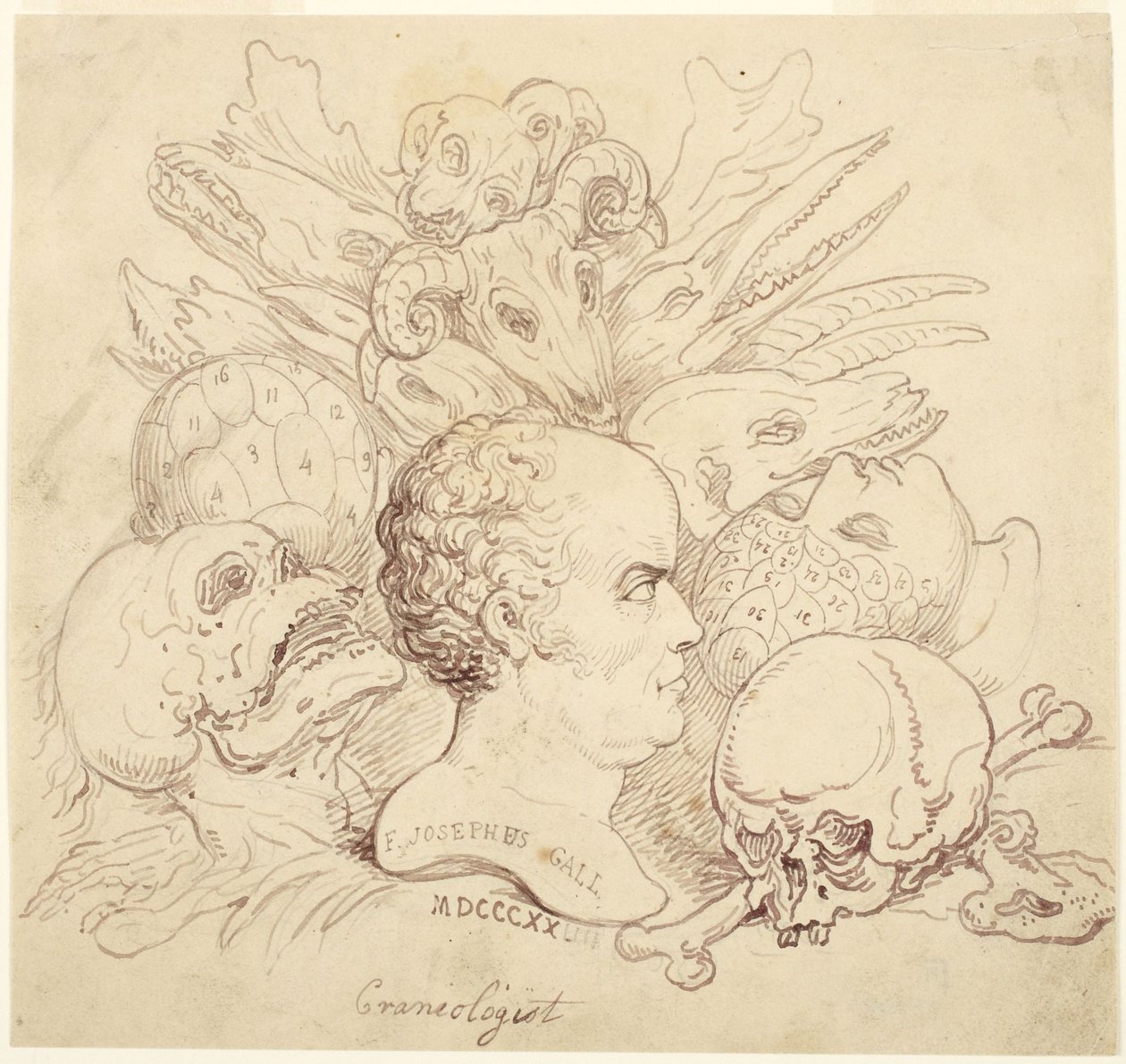F. Josephus Gall, Kraniologe von Thomas Rowlandson