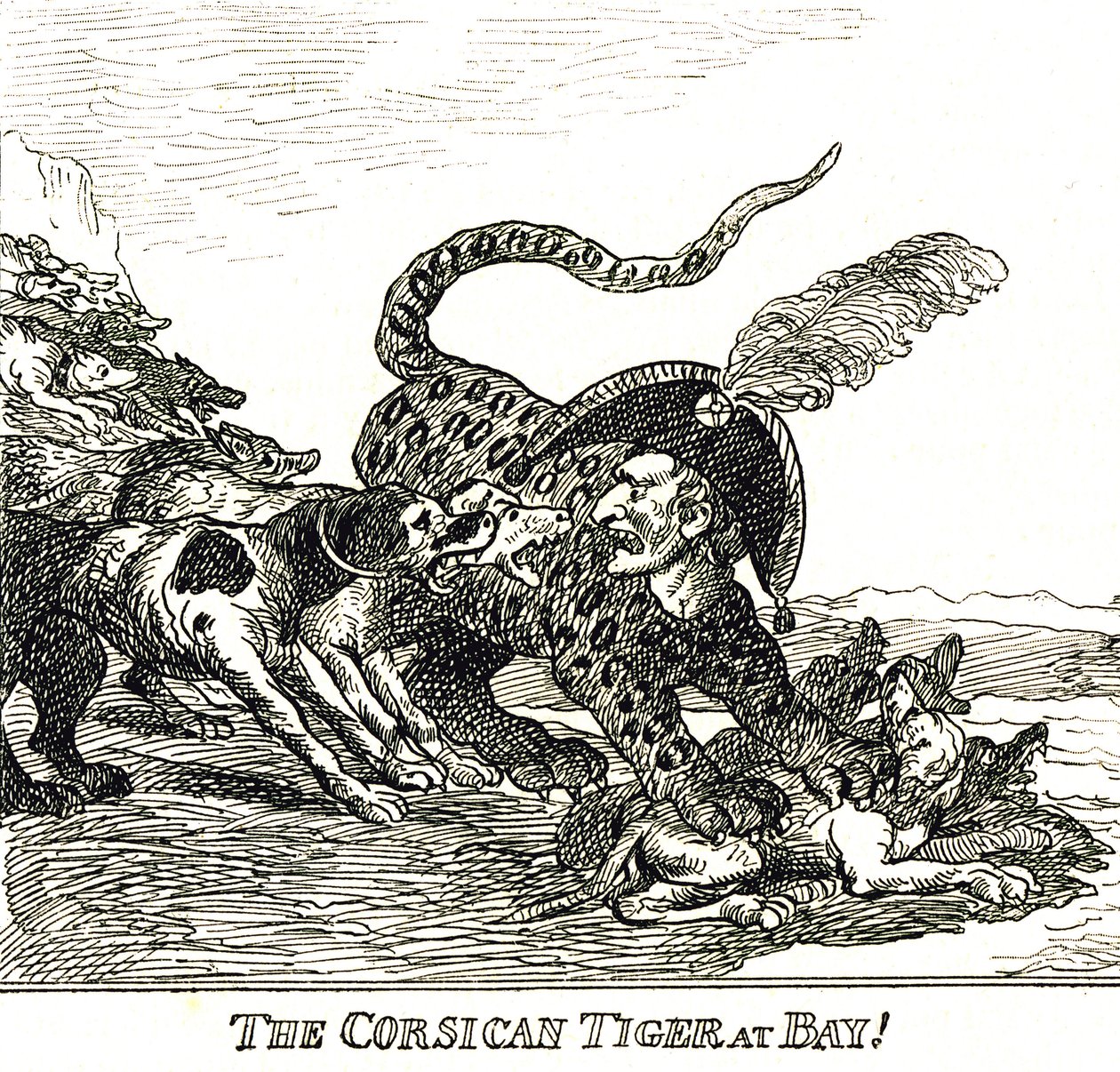 Der gebellte korsische Tiger (Napoleon Bonaparte), Karikatur 1808 von Thomas Rowlandson