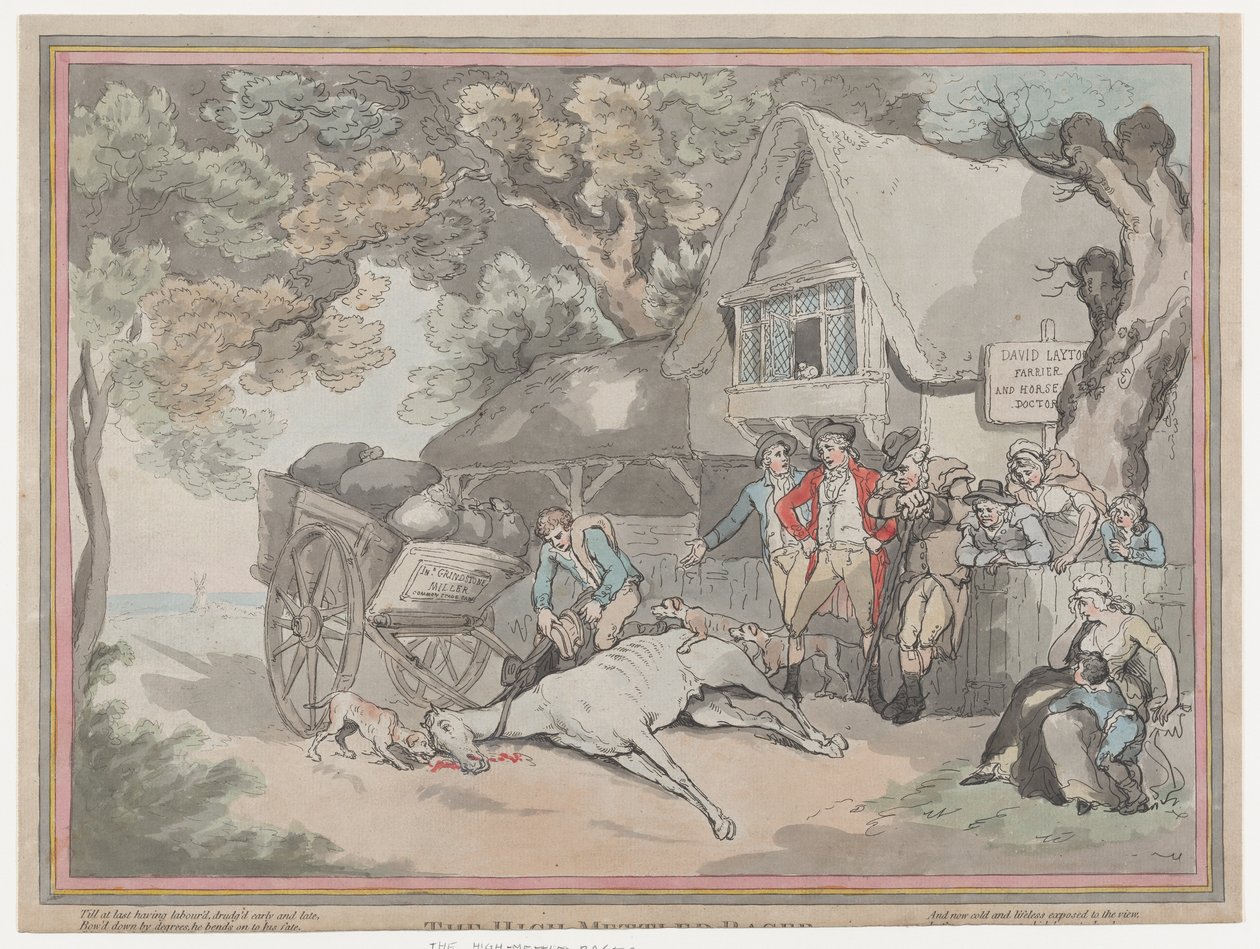 Das Kutschpferd aus Das Leben eines Rennpferdes, oder Der Hochmütige Renner, 20. Juli 1789 von Thomas Rowlandson